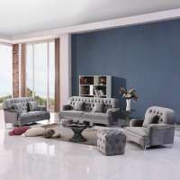 Luxury furniture of classic sofa